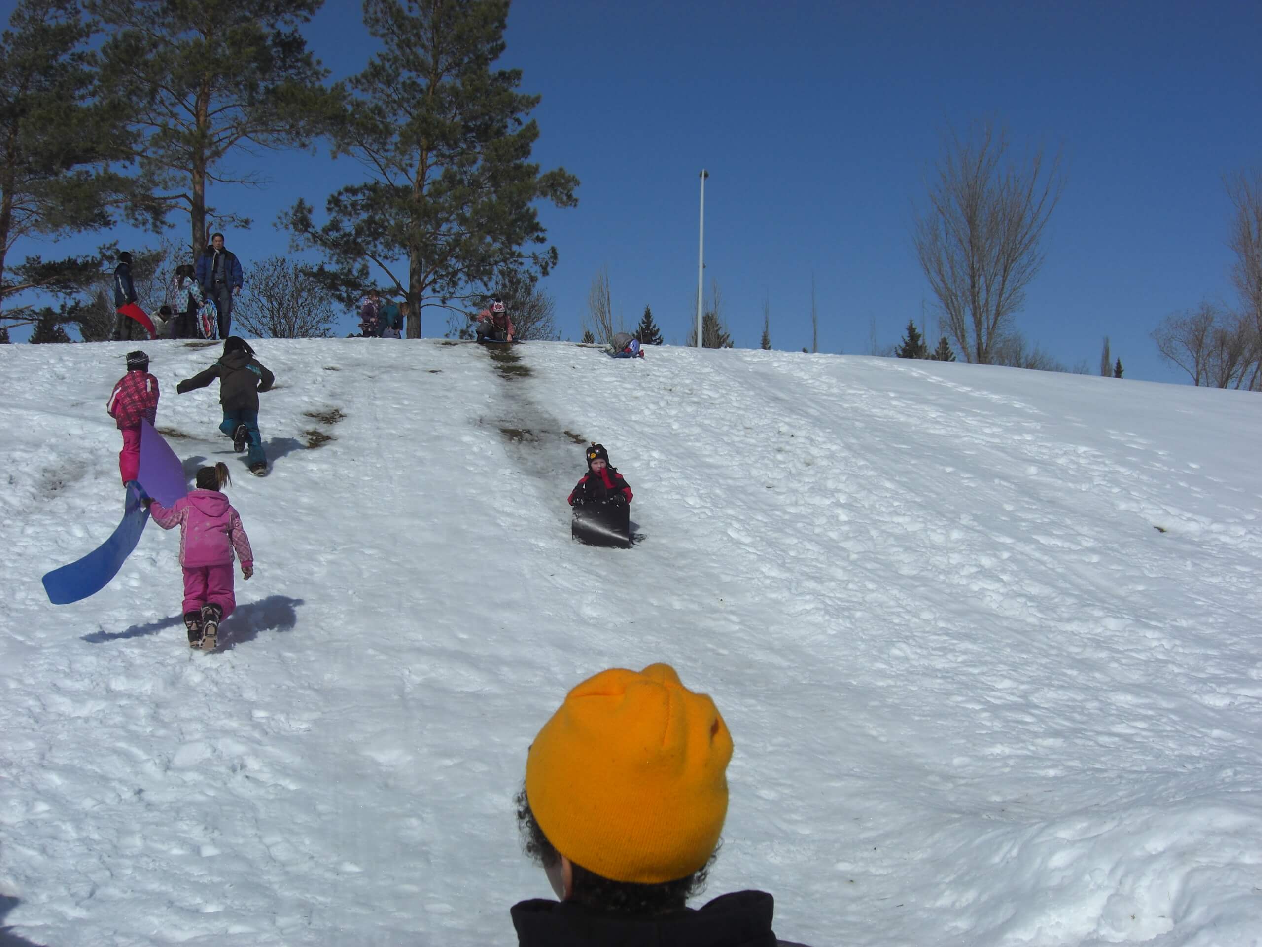 Read more about the article Tobogganing Fun!